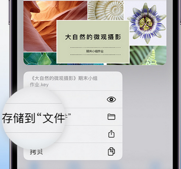 会宁apple维修中心分享iPhone文件应用中存储和找到下载文件