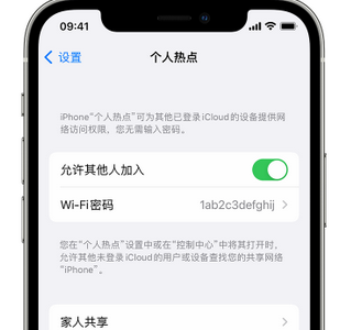 会宁apple服务站点分享iPhone上个人热点丢失了怎么办