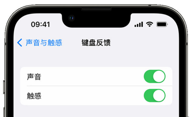 会宁苹果手机维修分享iPhone 14触感键盘使用方法 