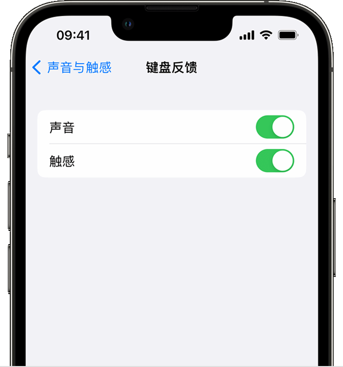 会宁苹果14维修店分享如何在 iPhone 14 机型中使用触感键盘 