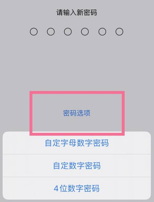 会宁苹果14维修分享iPhone 14plus设置密码的方法 