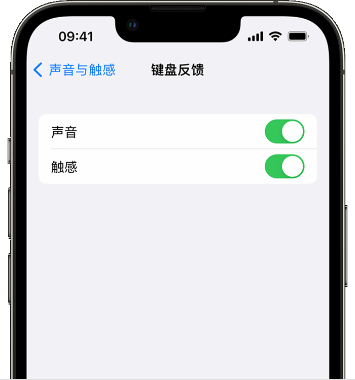 会宁苹果14维修分享iPhone 14 系列机型如何开启键盘声音或触感反馈 