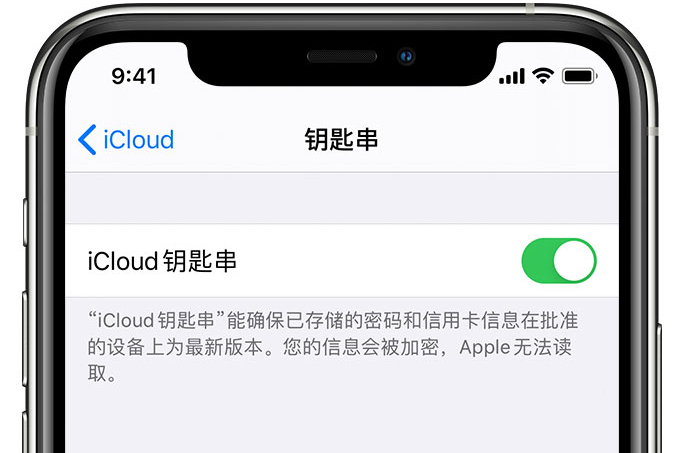 会宁苹果手机维修分享在 iPhone 上开启 iCloud 钥匙串之后会储存哪些信息 