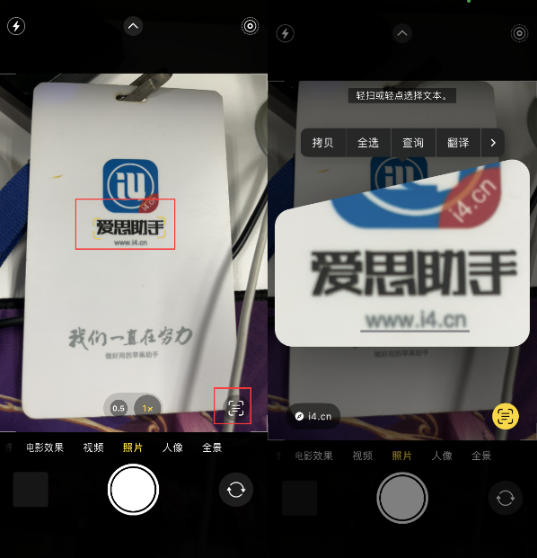 会宁苹果手机维修分享升级iOS 16后如何通过相机翻译文本 