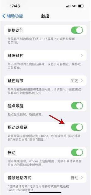 会宁苹果手机维修分享iPhone手机如何设置摇一摇删除文字 