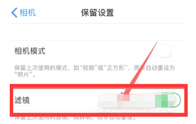 会宁苹果13维修分享iPhone13拍照有绿点是怎么回事 