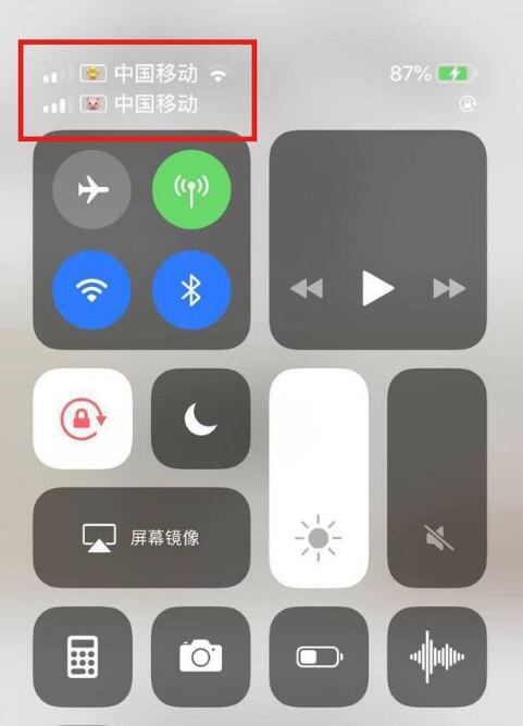 会宁苹果手机维修分享为 iPhone 12 双卡设置标签 
